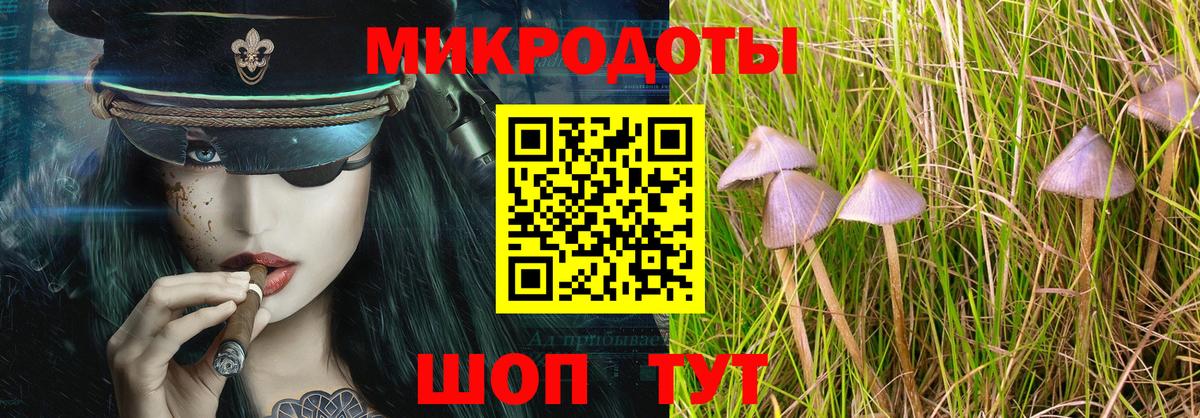 Благовещенск  Галлюциногенные грибы Psilocybine cubensis  Вход с VPN 